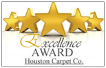 Excellence cleaning award