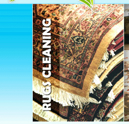 Rugs Cleaning